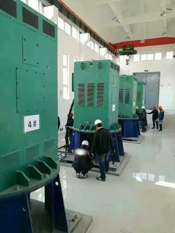 雅江某污水处理厂使用我厂的立式高压电机安装现场